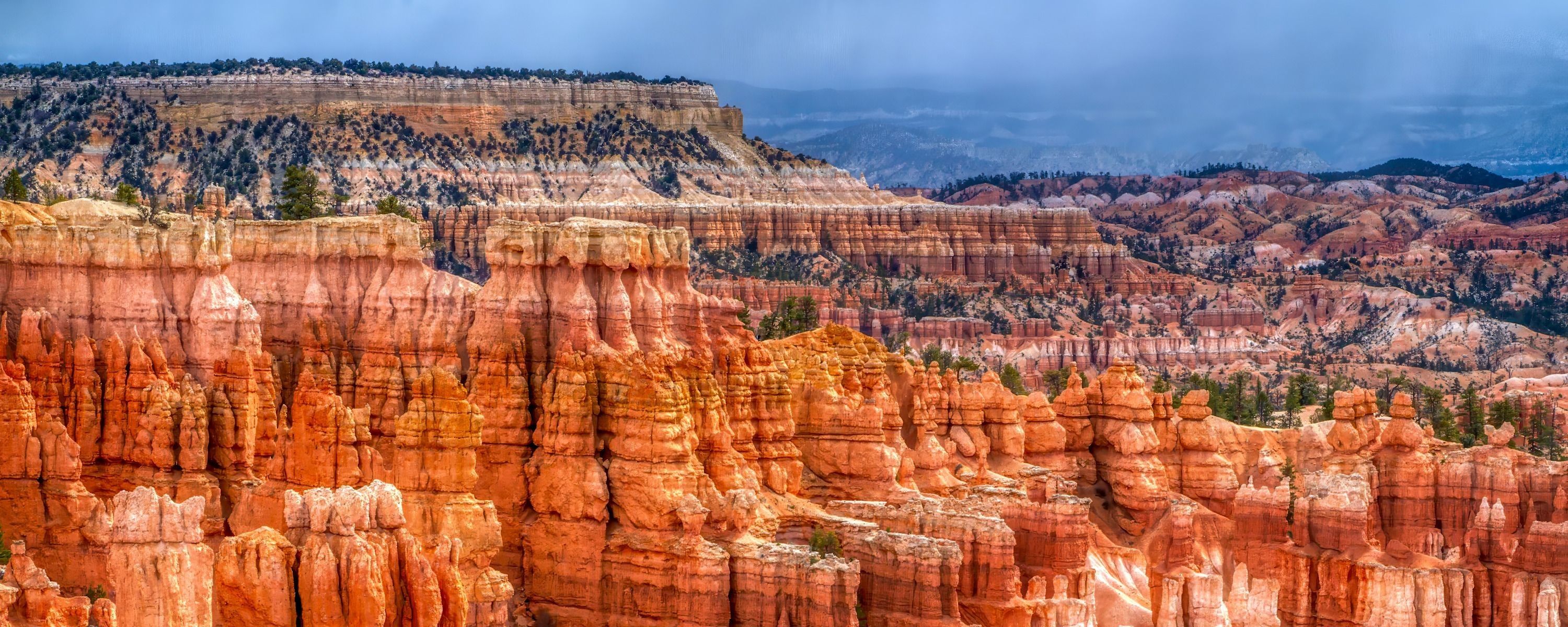 
        <div class='title'>
          ASF Slideshow 30
        </div>
       
        <div class='description'>
          
        </div>
      