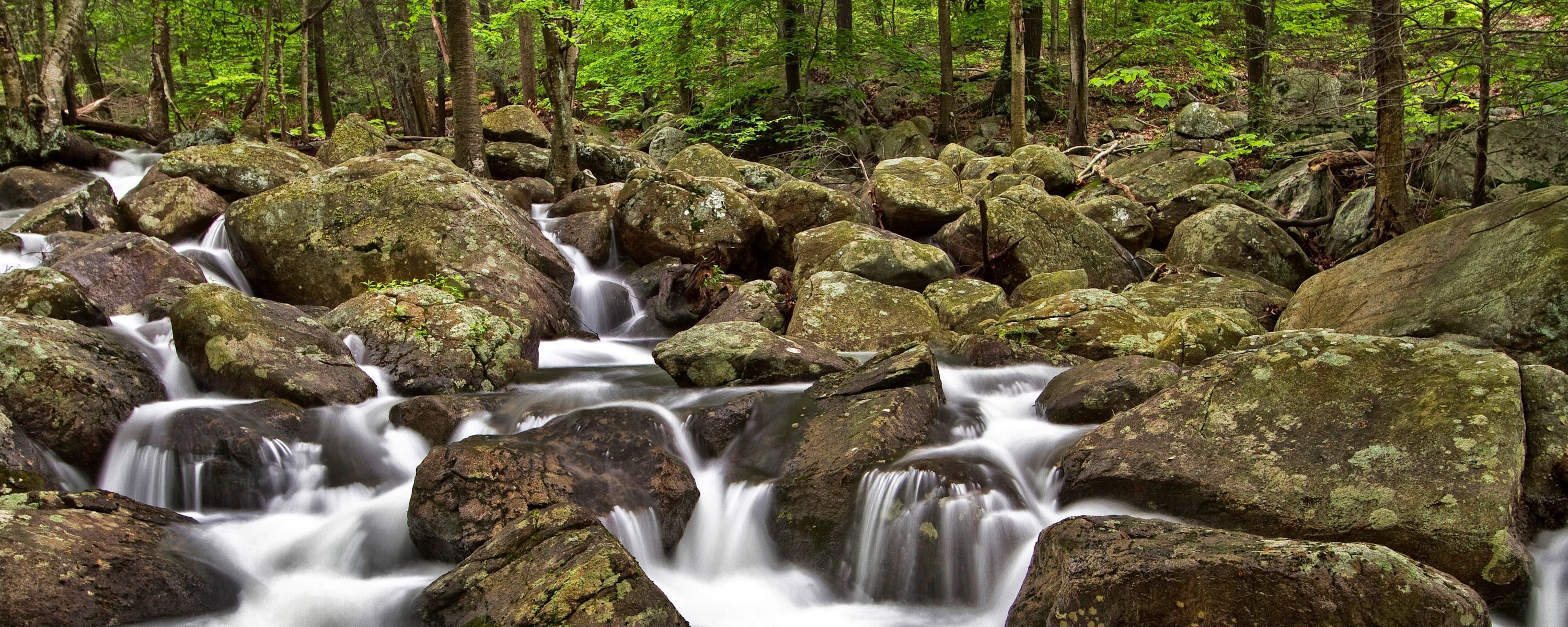 
        <div class='title'>
          ASF Slideshow 29
        </div>
       
        <div class='description'>
          
        </div>
      