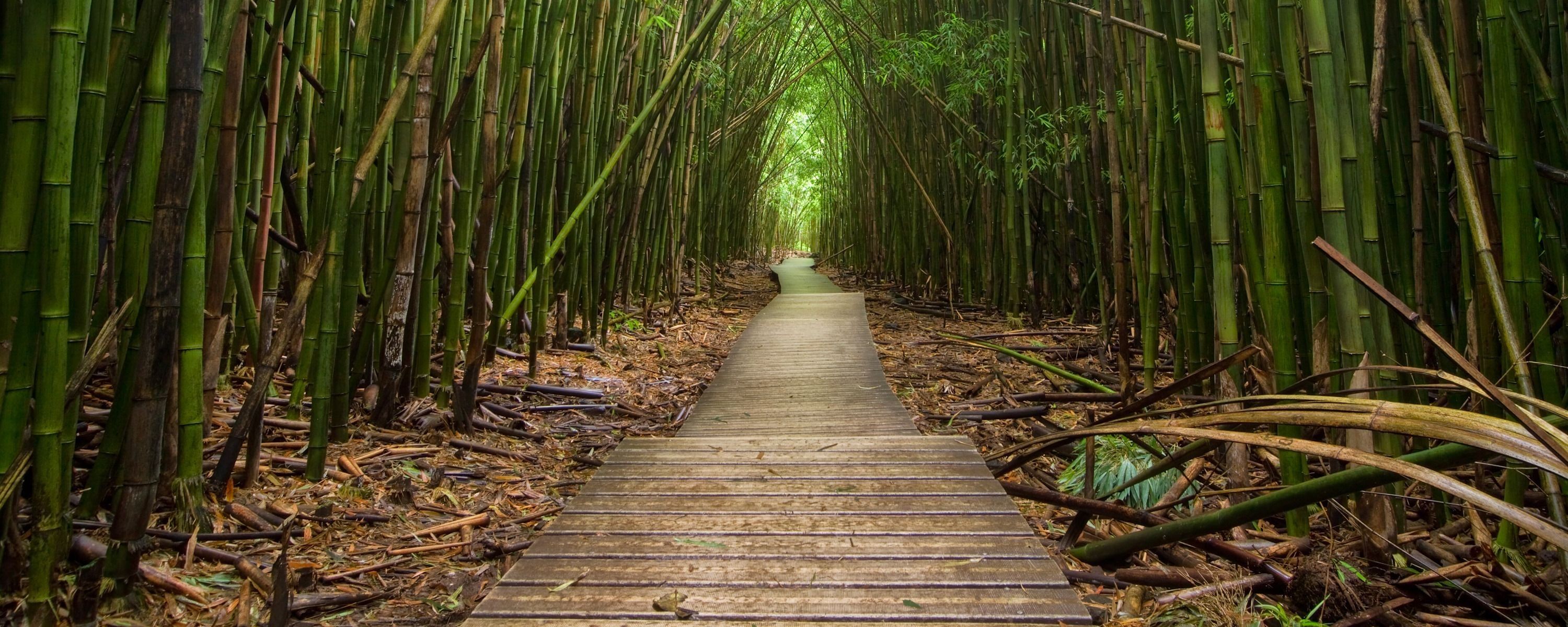 
        <div class='title'>
          ASF Slideshow 27
        </div>
       
        <div class='description'>
          
        </div>
      