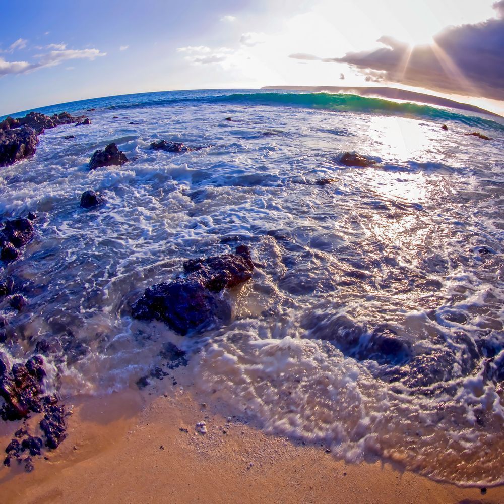 Fish Eye Maui 1 12x12 Crop 1223 Photography Art | Michael Malandra Fine Art & Photography