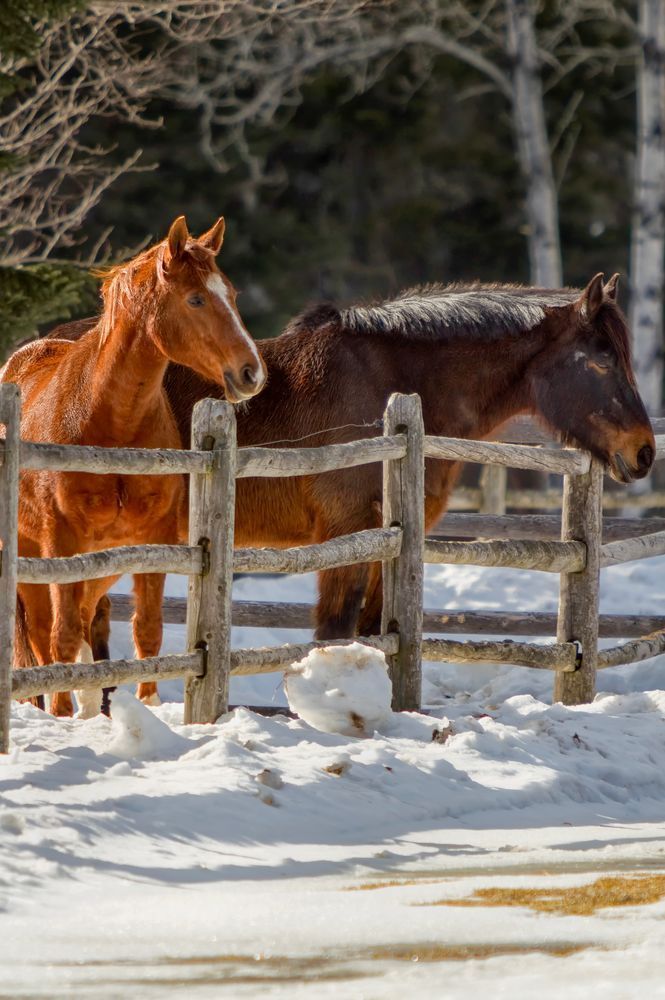 Img 0376 Edited 1223 20x30 Crop Photography Art | Michael Malandra Fine Art & Photography