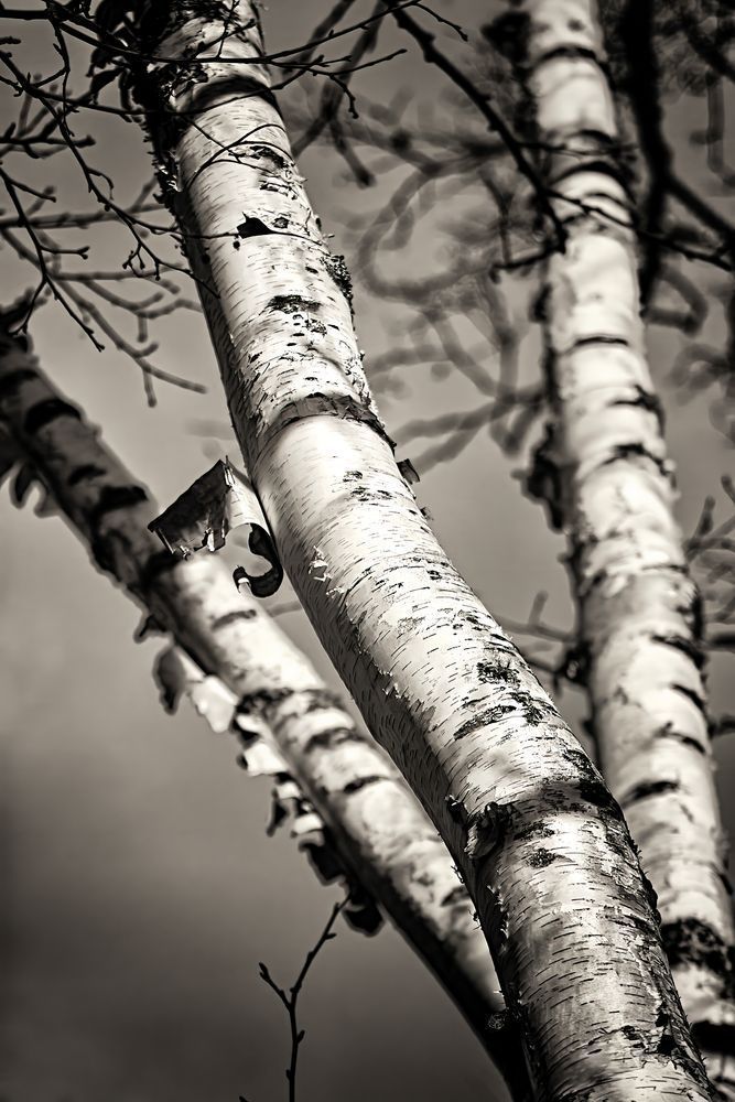 Img 0394 Edited 1223 20x30 Crop Photography Art | Michael Malandra Fine Art & Photography