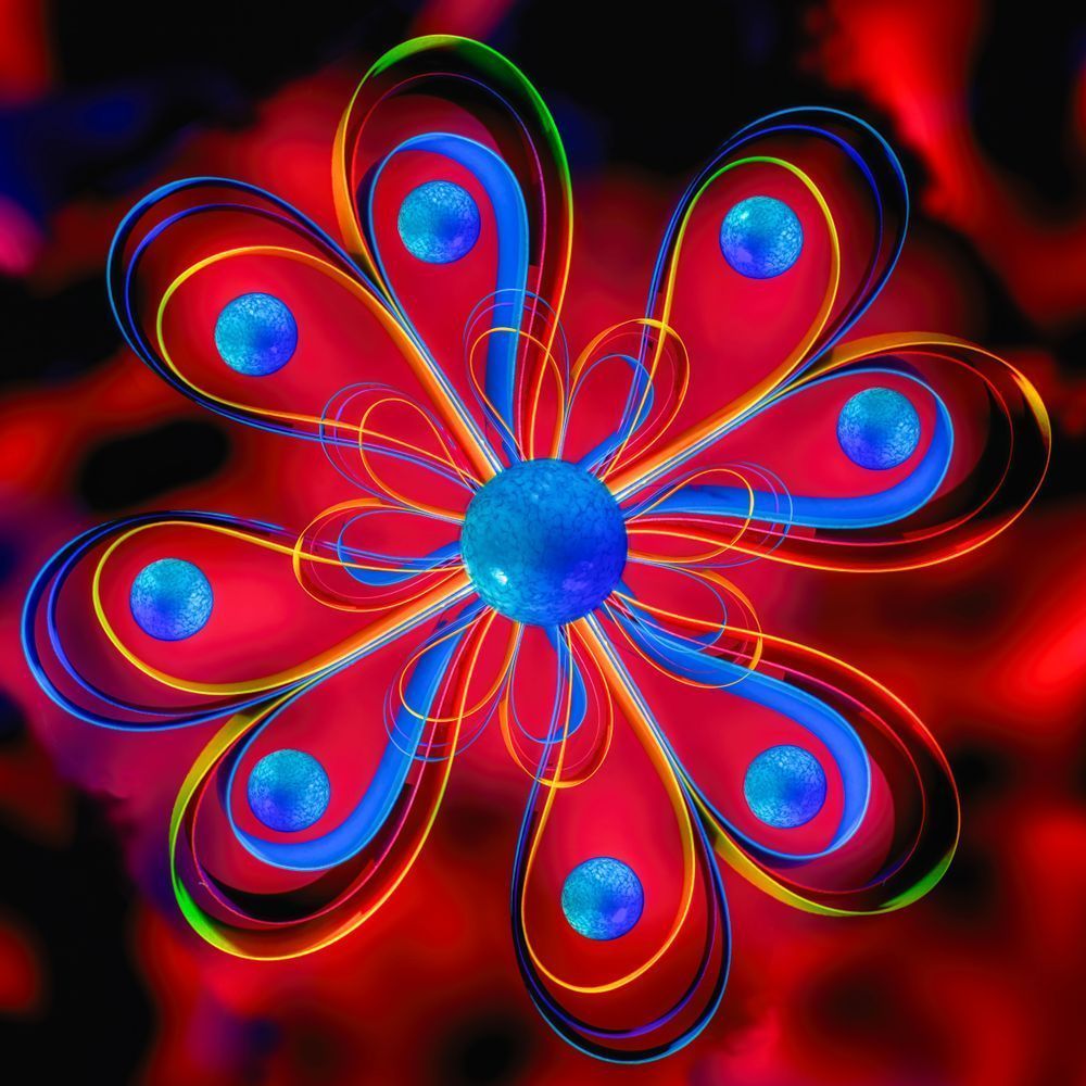 Mandala 8 1123 12x12 Crop Photography Art | Michael Malandra Fine Art & Photography