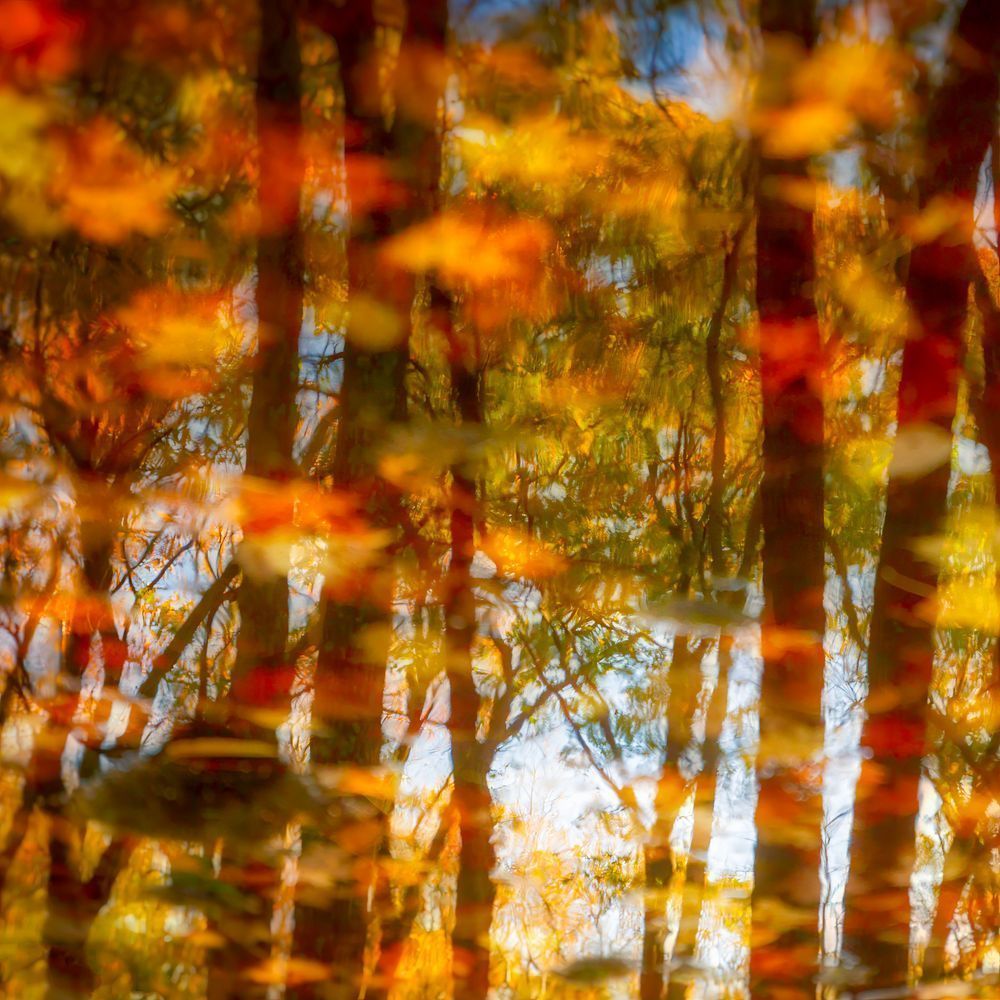 Watercolors 12x12 Crop 1223 Photography Art | Michael Malandra Fine Art & Photography