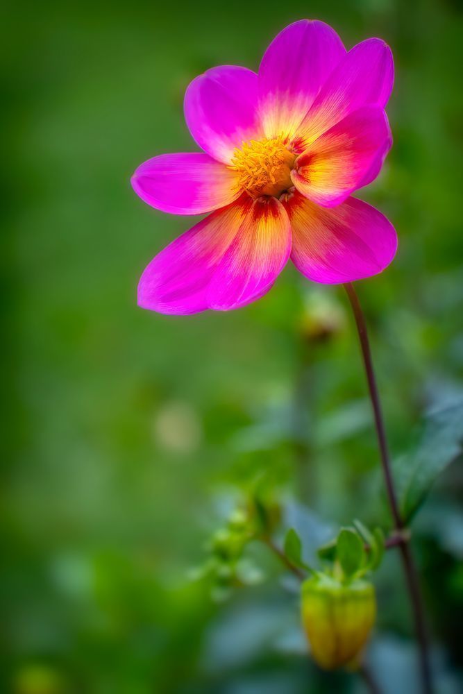 E8 A9311 20x30 Crop Photography Art | Michael Malandra Fine Art & Photography