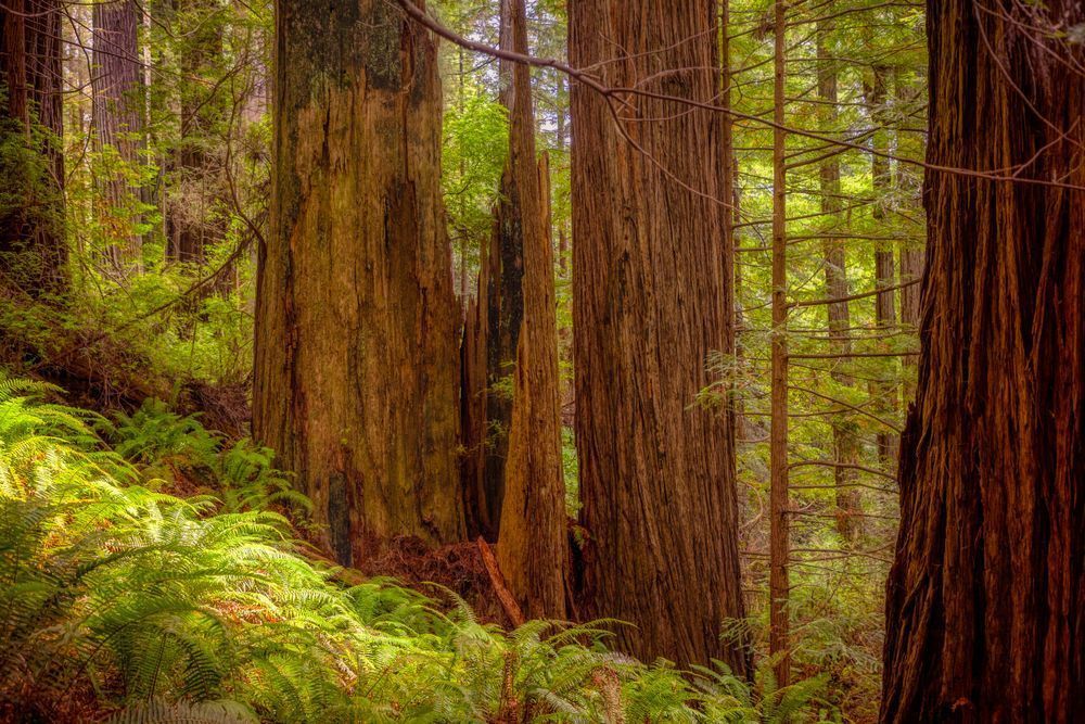 E8 A9301 Edited 20x30 Crop Photography Art | Michael Malandra Fine Art & Photography