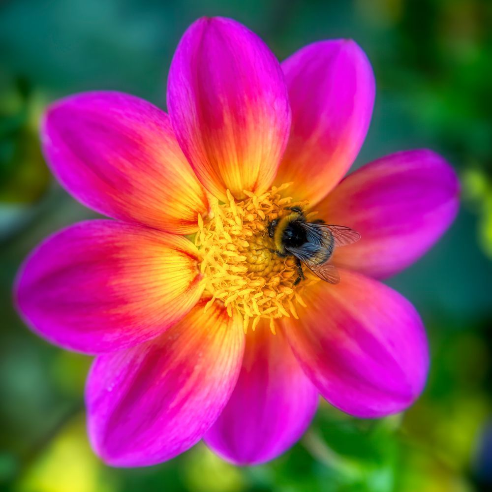 E8 A9383 Edited 12x12 Crop Photography Art | Michael Malandra Fine Art & Photography