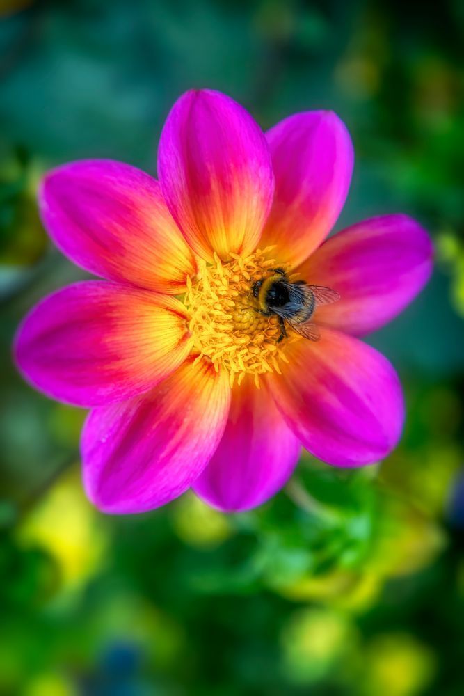 E8 A9383 20x30 Crop Photography Art | Michael Malandra Fine Art & Photography