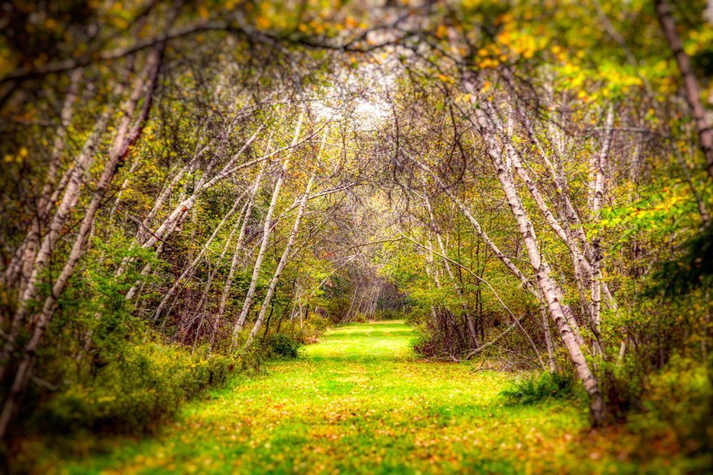 E8 A9213 Edited 1223 20x30 Crop Photography Art | Michael Malandra Fine Art & Photography
