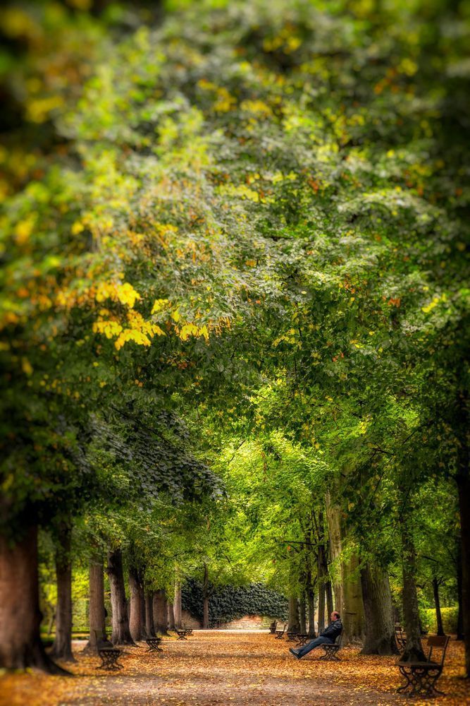 E8 A9291 20x30 Crop Photography Art | Michael Malandra Fine Art & Photography