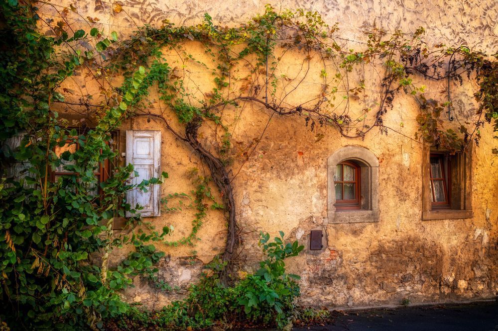 E8 A9455 20x30 Crop Photography Art | Michael Malandra Fine Art & Photography