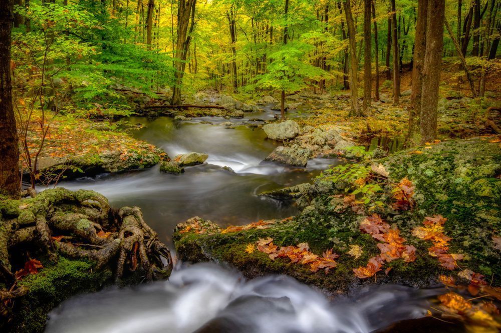 E8 A9464 Edited 1223 20x30 Crop Photography Art | Michael Malandra Fine Art & Photography