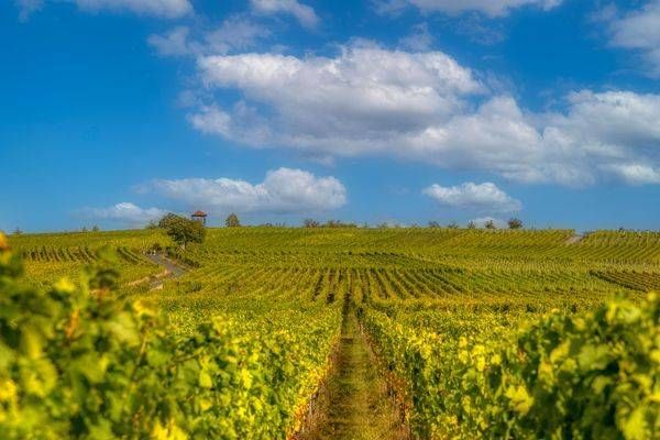 E8 A8611 Edited 20x30 Crop Photography Art | Michael Malandra Fine Art & Photography