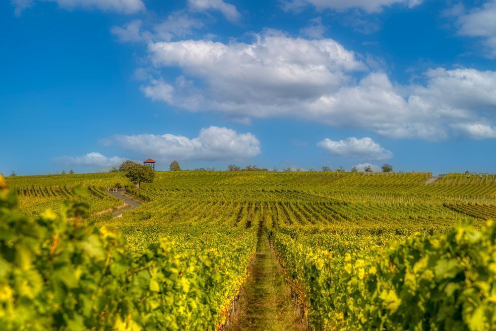 E8 A8611 Edited 20x30 Crop Photography Art | Michael Malandra Fine Art & Photography