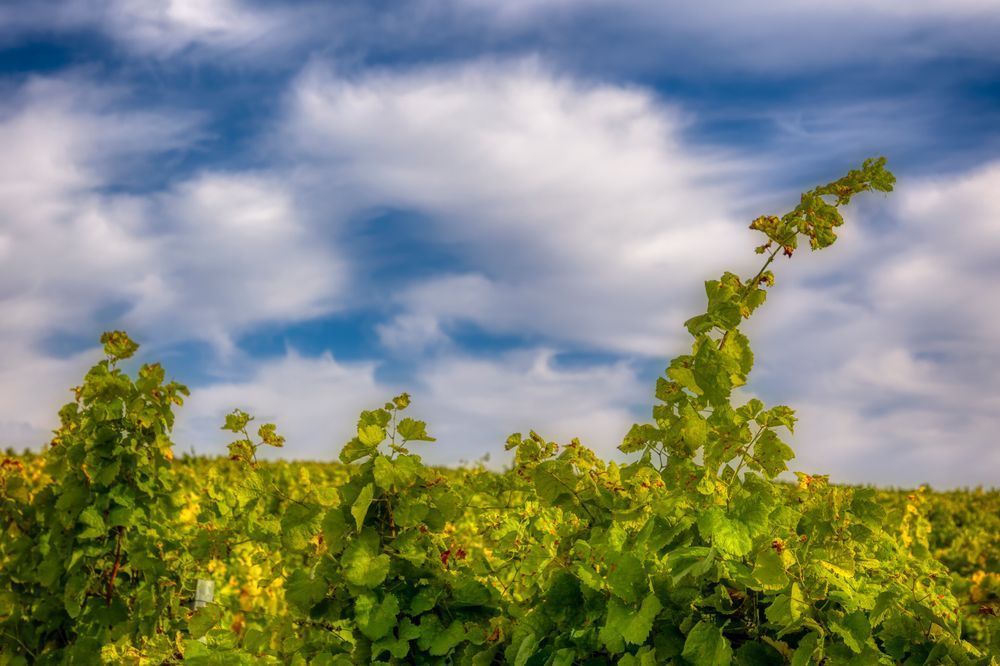 E8 A8634 Edited 20x30 Crop Photography Art | Michael Malandra Fine Art & Photography