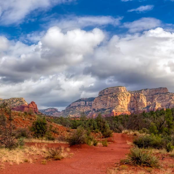 E8 A8429 Edited 1123 12x12 Crop Photography Art | Michael Malandra Fine Art & Photography