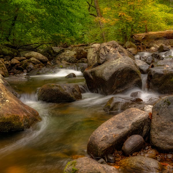 E8 A8474 12x12 Crop 1223 Photography Art | Michael Malandra Fine Art & Photography