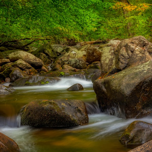 E8 A8469 12x12 Crop 1223 Photography Art | Michael Malandra Fine Art & Photography