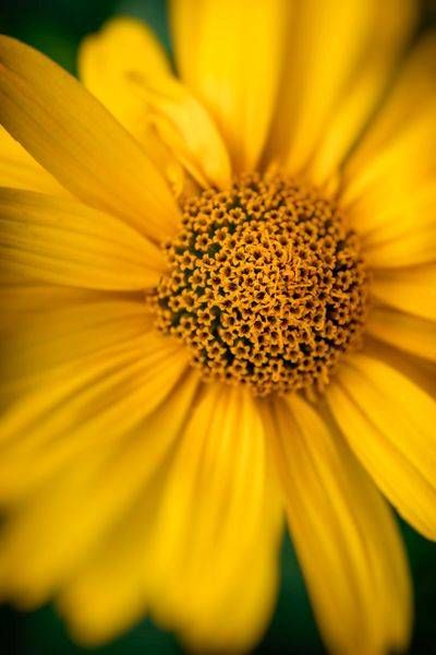 E8 A5716 Edited 1223 20x30 Crop Photography Art | Michael Malandra Fine Art & Photography