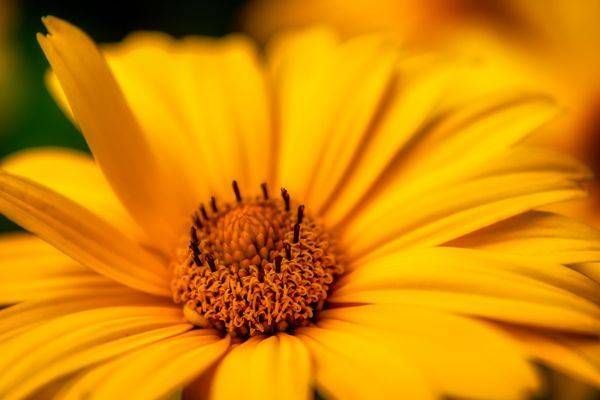 E8 A5684 Edited 1223 20x30 Crop Photography Art | Michael Malandra Fine Art & Photography