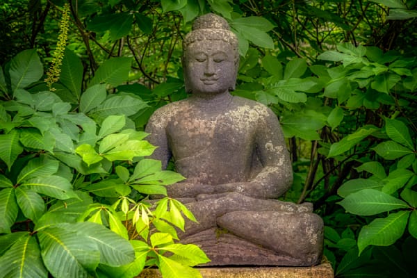 E8 A5498 Edited 1123 20x30 Crop Photography Art | Michael Malandra Fine Art & Photography