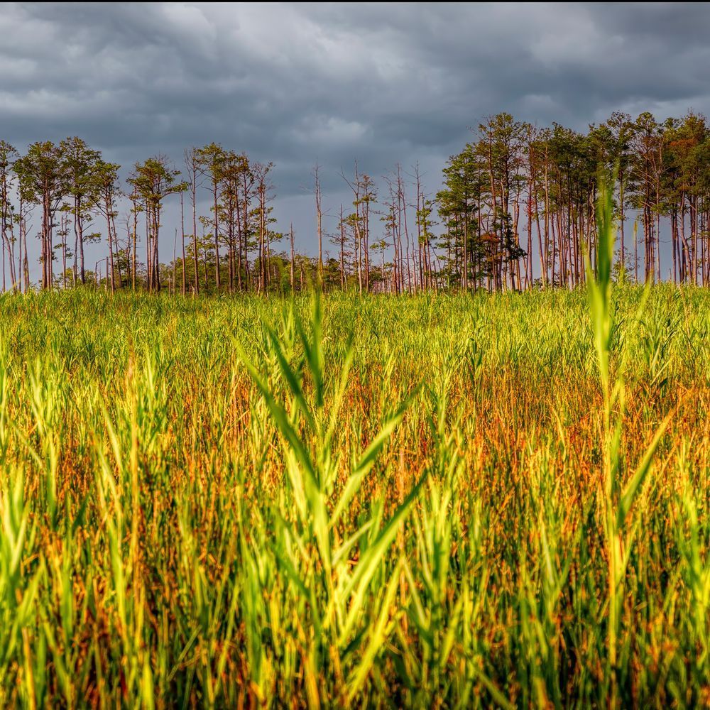 E8 A5925 12x12 Crop 1223 Photography Art | Michael Malandra Fine Art & Photography