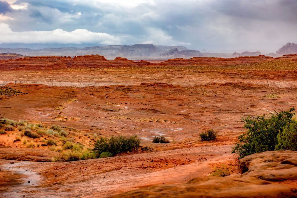 E8 A6298 Edited 1124 20x30 Crop Photography Art | Michael Malandra Fine Art & Photography