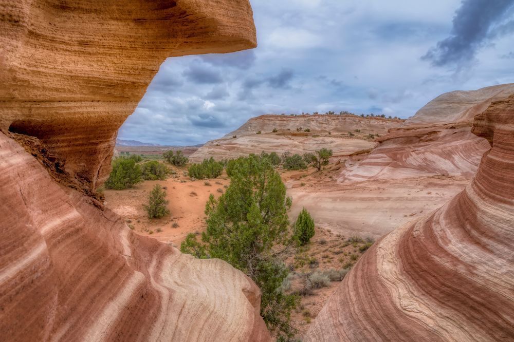 E8 A6638 Edited 2 20x30 Crop Photography Art | Michael Malandra Fine Art & Photography