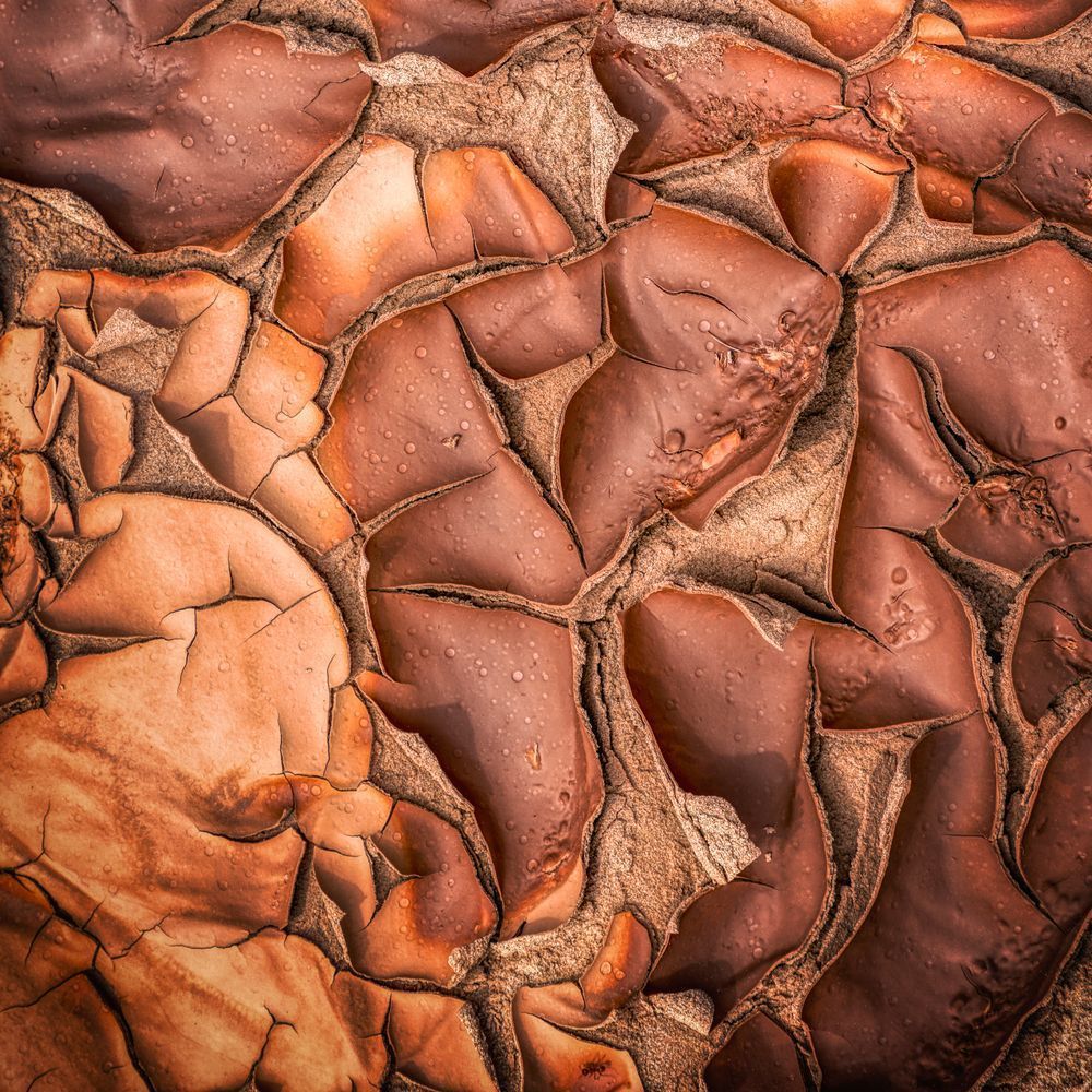 E8 A6692 Edited 1123 12x12 Crop Photography Art | Michael Malandra Fine Art & Photography