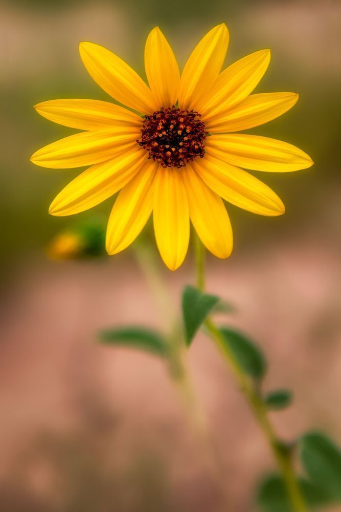 E8 A6681 Edited 1123 20x30 Crop Photography Art | Michael Malandra Fine Art & Photography