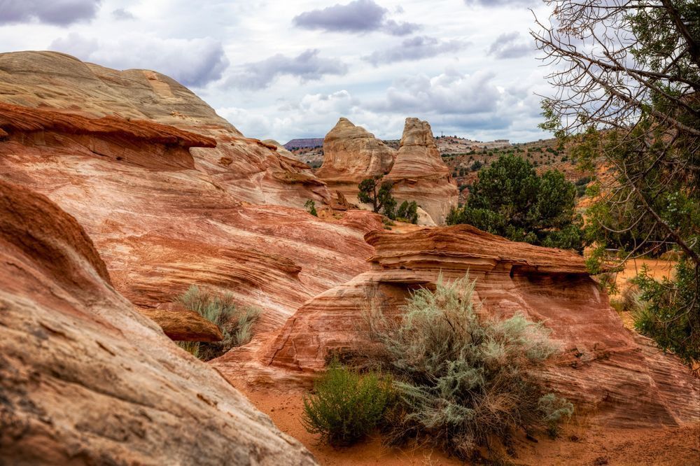 E8 A6525 Edited 1124 20x30 Crop Photography Art | Michael Malandra Fine Art & Photography