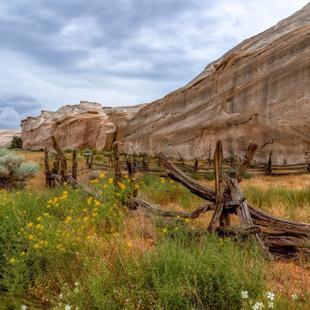 E8 A6436 Edited 2 12x12 Crop Photography Art | Michael Malandra Fine Art & Photography