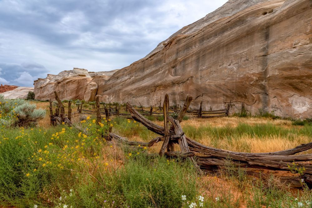 E8 A6436 Edited 2 20x30 Crop Photography Art | Michael Malandra Fine Art & Photography