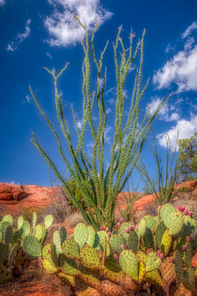 E8 A7193 Edited 1123 20x30 Crop Photography Art | Michael Malandra Fine Art & Photography