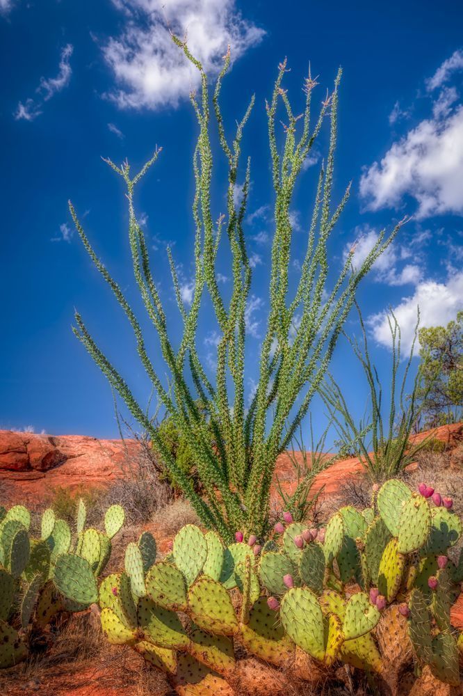E8 A7193 Edited 1123 20x30 Crop Photography Art | Michael Malandra Fine Art & Photography