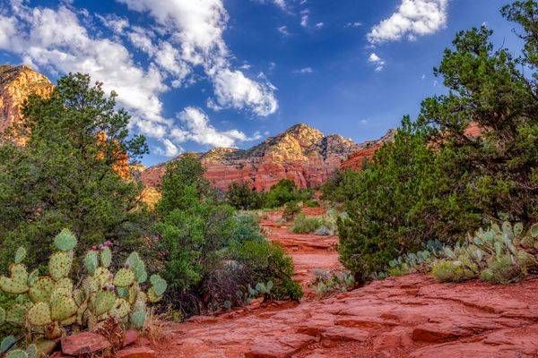 E8 A7785 Edited 1123 20x30 Crop Photography Art | Michael Malandra Fine Art & Photography