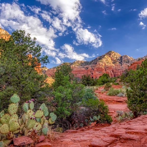 E8 A7785 Edited 1123 Copy Photography Art | Michael Malandra Fine Art & Photography