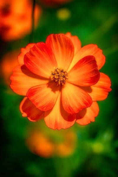 E8 A7558 Edited 1223 20x30 Crop Photography Art | Michael Malandra Fine Art & Photography