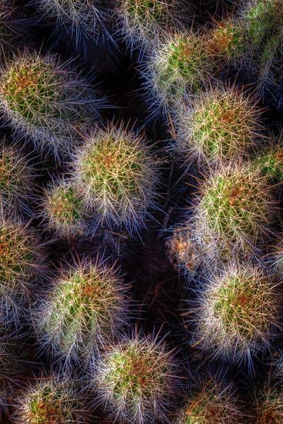 E8 A7574 Edited 1123 20x30 Crop Photography Art | Michael Malandra Fine Art & Photography