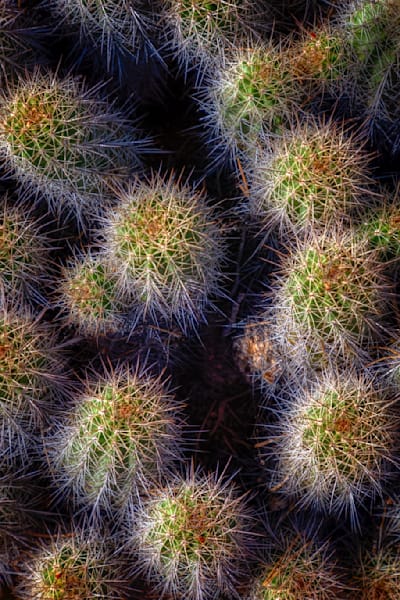 E8 A7574 Edited 1123 20x30 Crop Photography Art | Michael Malandra Fine Art & Photography