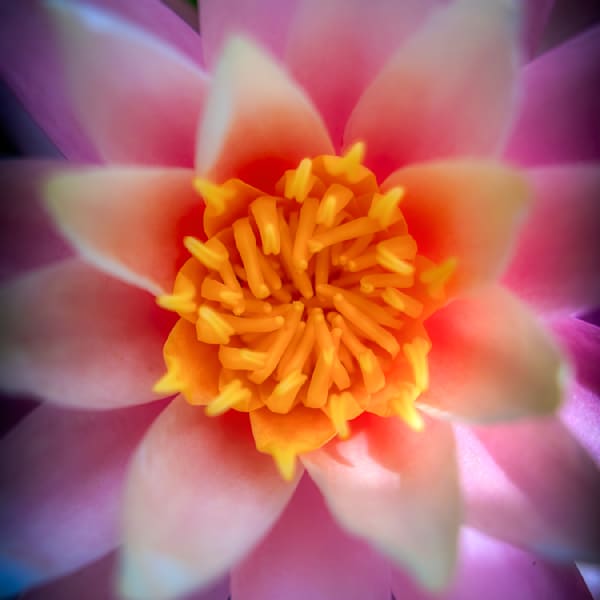 E8 A7598 12x12 Crop 1223 Photography Art | Michael Malandra Fine Art & Photography