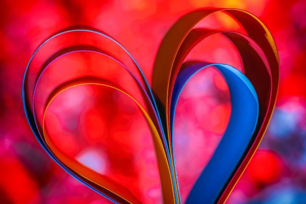 E8 A4196 Edited 12x18 Abstract Macro Photography Prints Final 1123 Photography Art | Michael Malandra Fine Art & Photography