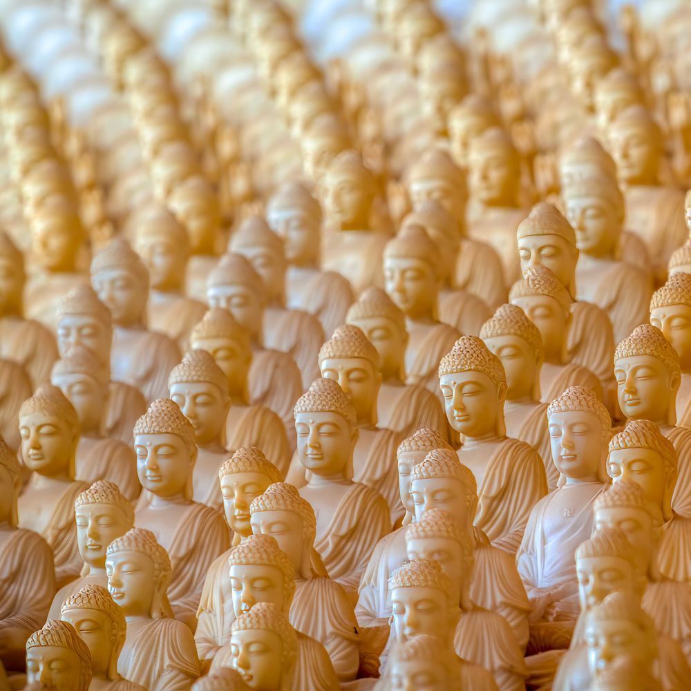 E8 A4863 Edited 1123 12x12 Crop Photography Art | Michael Malandra Fine Art & Photography