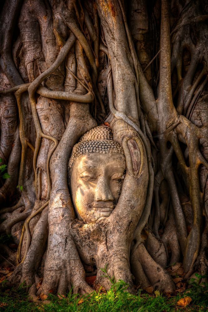 E8 A1068 Edited 0425 2 20x30 Crop Photography Art | Michael Malandra Fine Art & Photography