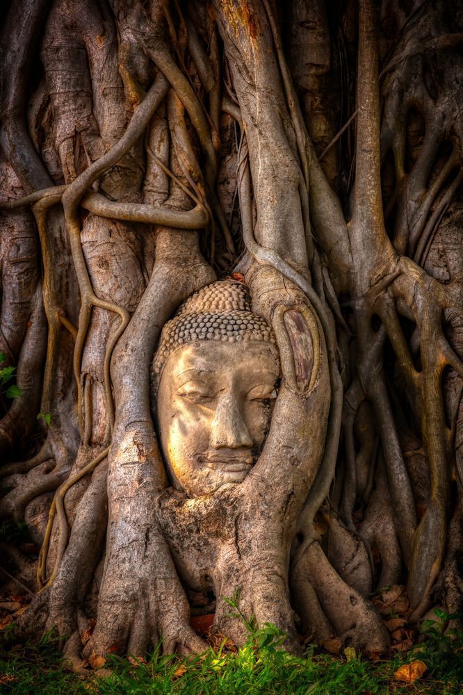 E8 A1068 Edited 0425 2 20x30 Crop Photography Art | Michael Malandra Fine Art & Photography