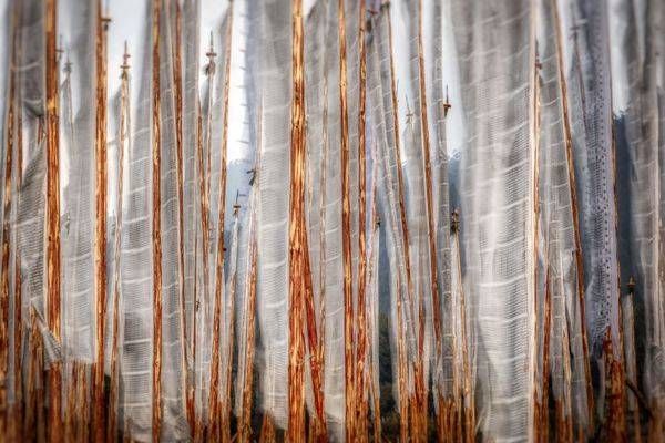 E8 A2530 Edited 0425 20x30 Crop Photography Art | Michael Malandra Fine Art & Photography