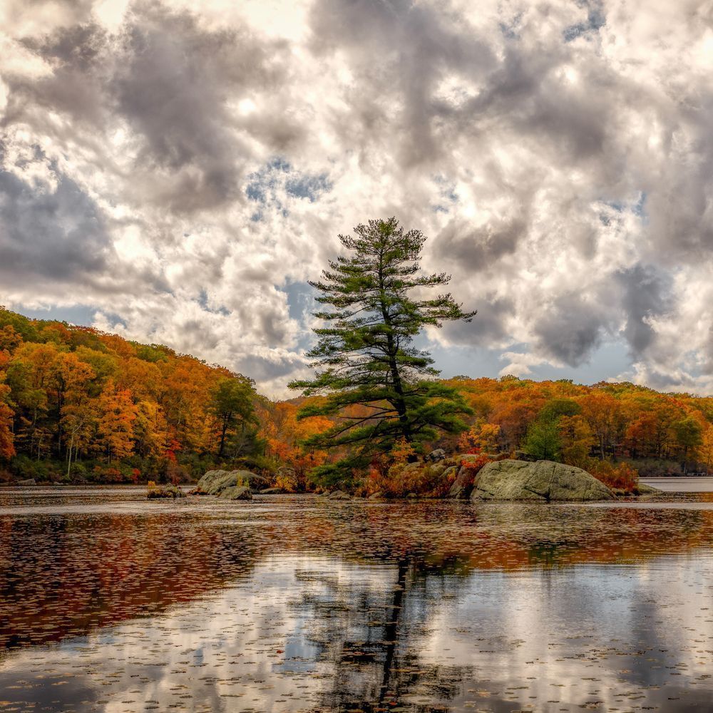 E8 A2545 12x12 Crop 1223 Photography Art | Michael Malandra Fine Art & Photography