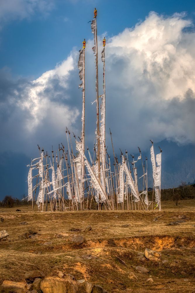 E8 A2400 Edited 0425 20x30 Crop Photography Art | Michael Malandra Fine Art & Photography