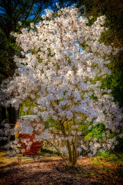 E8 A3679 Edited 1223 20x30 Crop Photography Art | Michael Malandra Fine Art & Photography