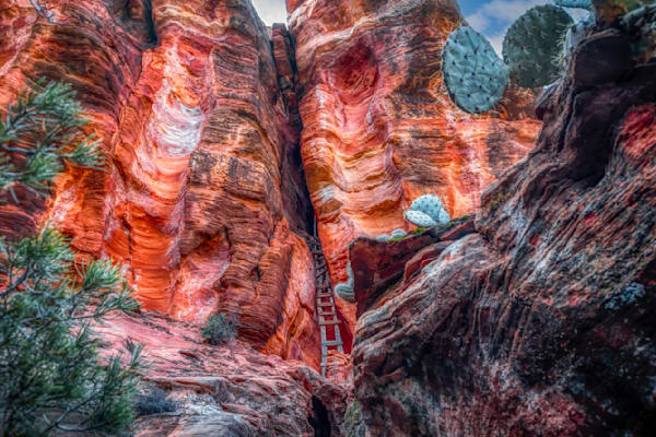 E8 A3815 Edited 1123 20x30 Crop Photography Art | Michael Malandra Fine Art & Photography